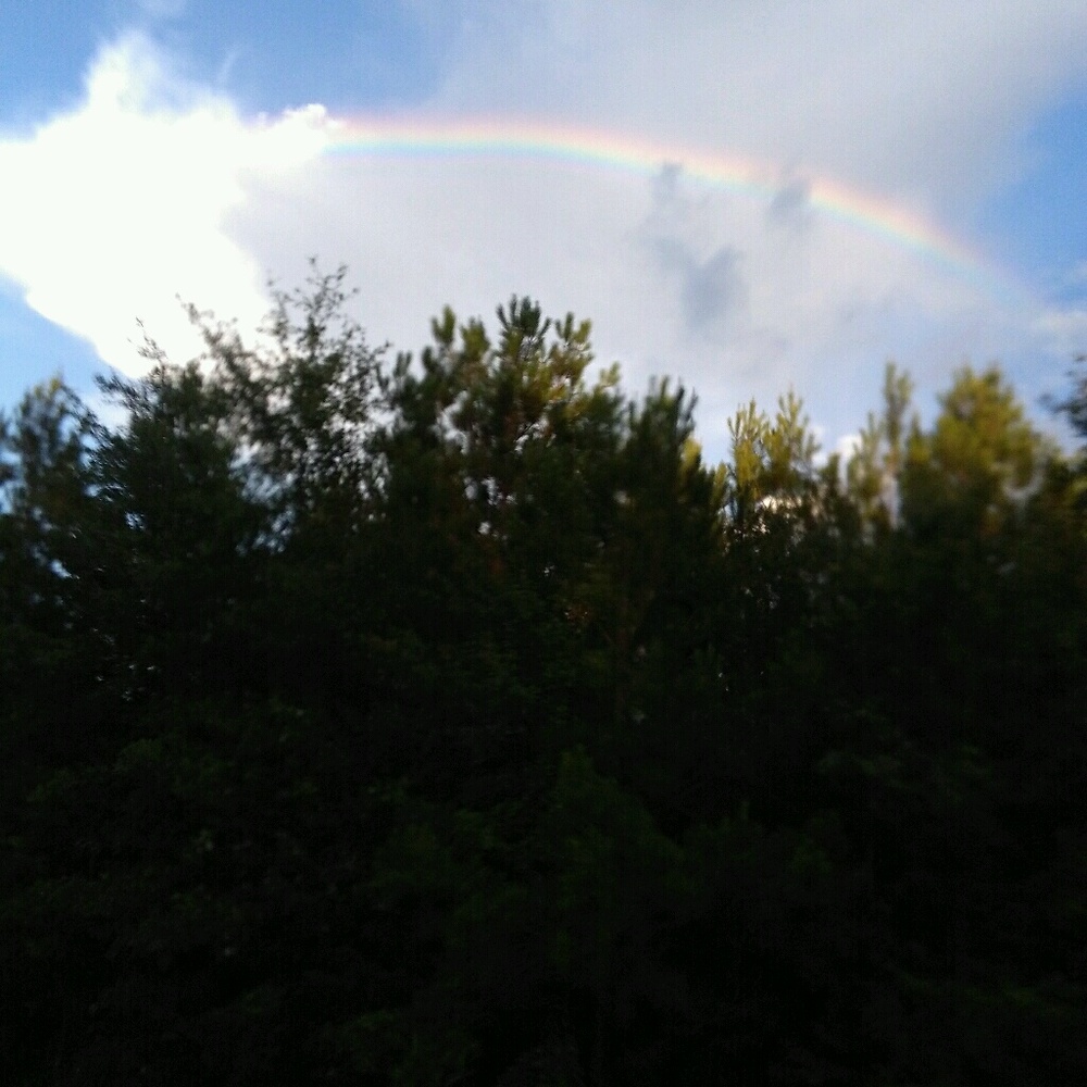 Meet your Posher, Candace